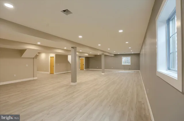 a view of a backyard with plants and large trees