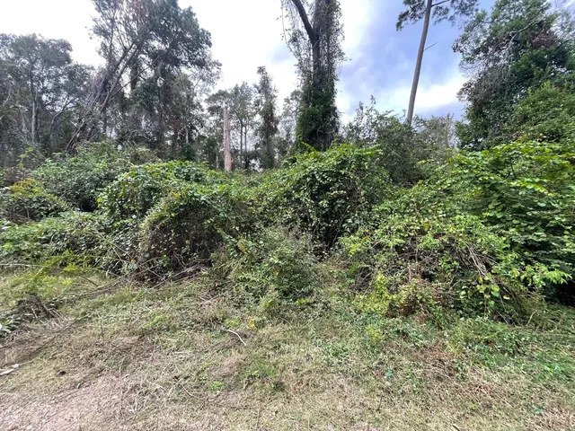 $15,000 | 0 Elkfield Lane, Humble, TX 77338