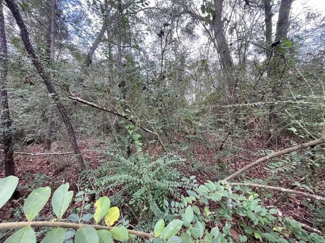 $15,000 | 0 Elkfield Lane, Humble, TX 77338