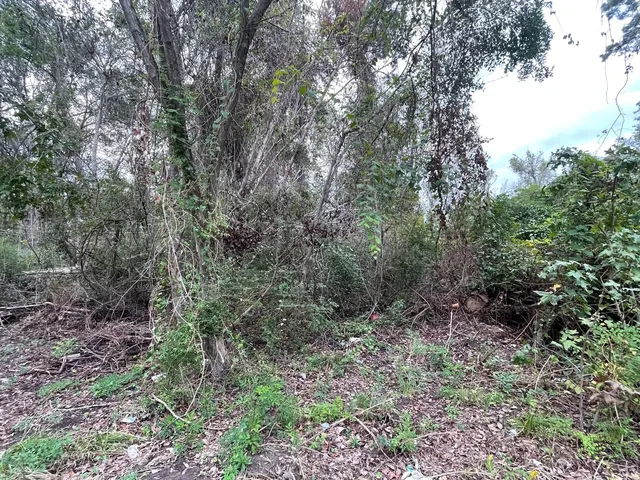 $15,000 | 0 Elkfield Lane, Humble, TX 77338