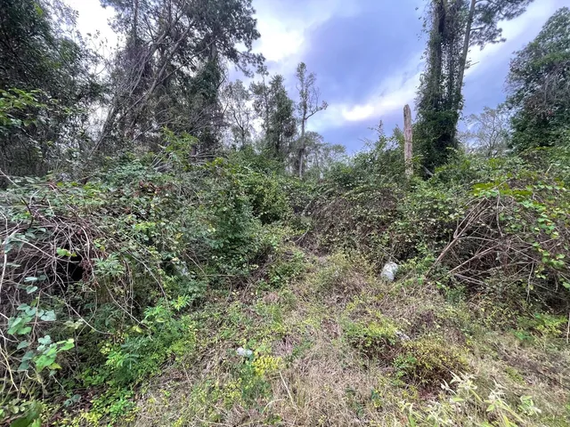 $15,000 | 0 Elkfield Lane, Humble, TX 77338