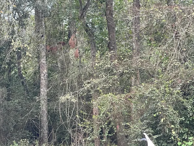 $15,000 | 0 Elkfield Lane, Humble, TX 77338