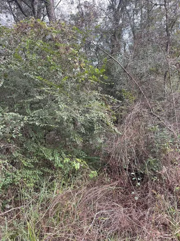 $15,000 | 0 Elkfield Lane, Humble, TX 77338