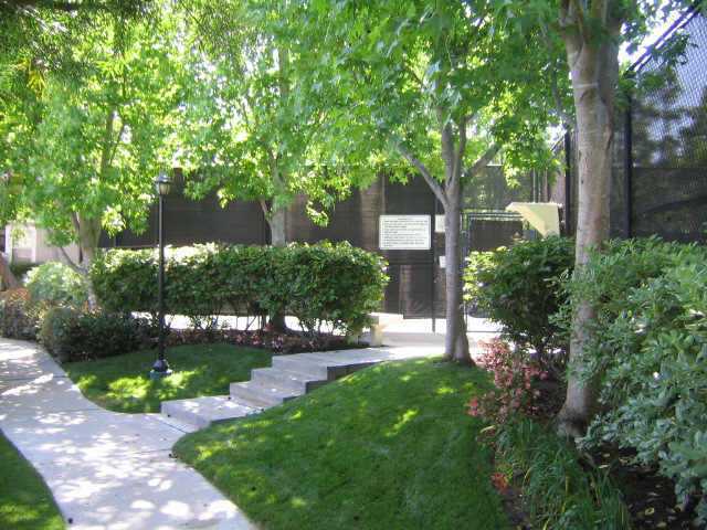 13319 Kibbings Road San Diego, CA 92130 - Photo 11 of 14 Common areas are maintained great!