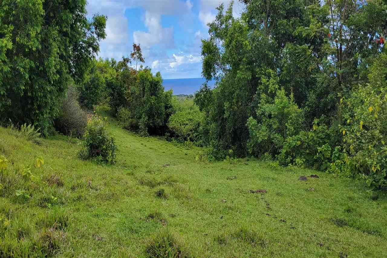 0 Ulaino Road, Unit LOT D Haiku, HI 96708 - Photo 13 of 25 a view of a green field with lots of bushes