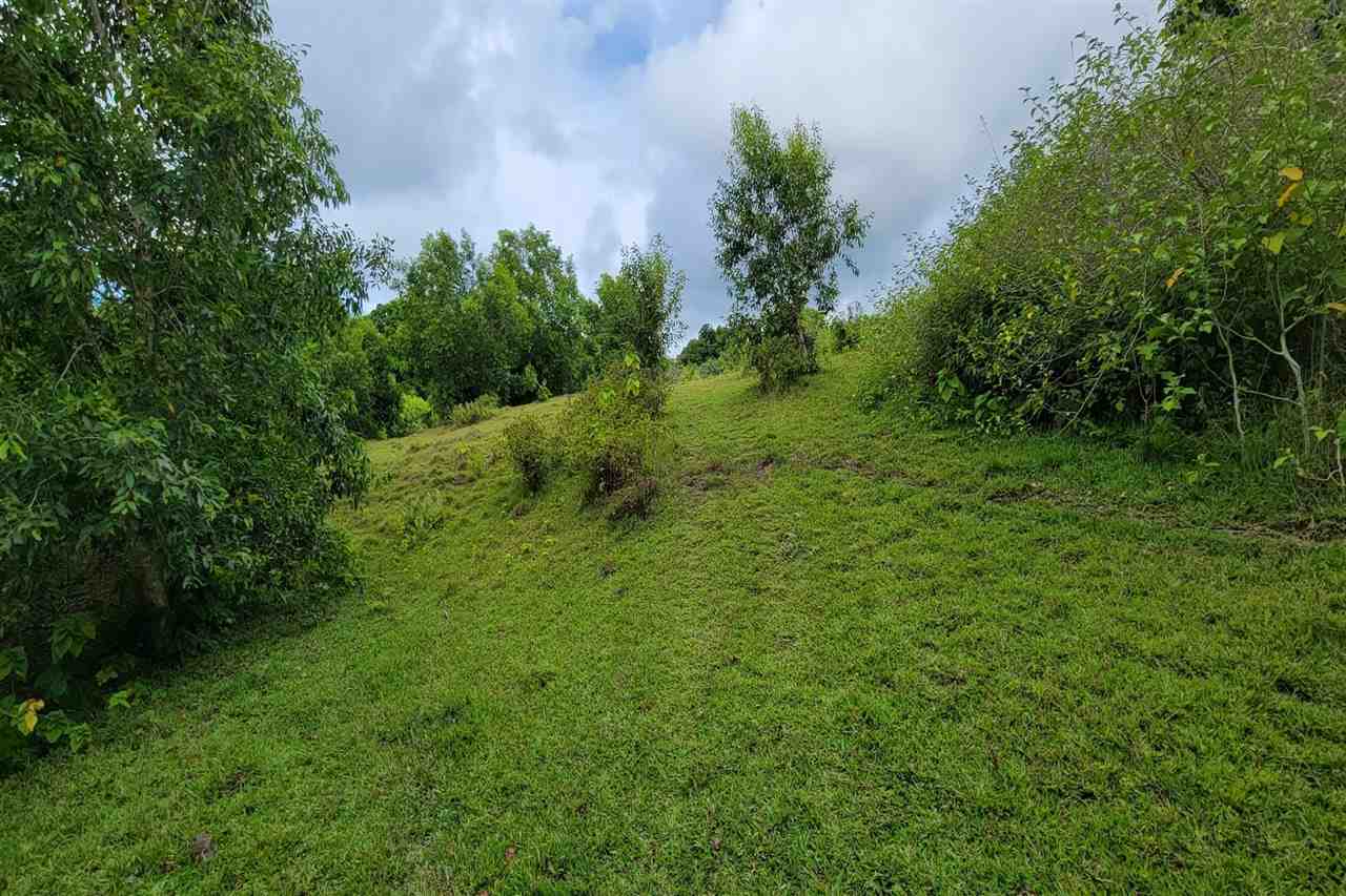 0 Ulaino Road, Unit LOT D Haiku, HI 96708 - Photo 14 of 25 a view of a lush green space