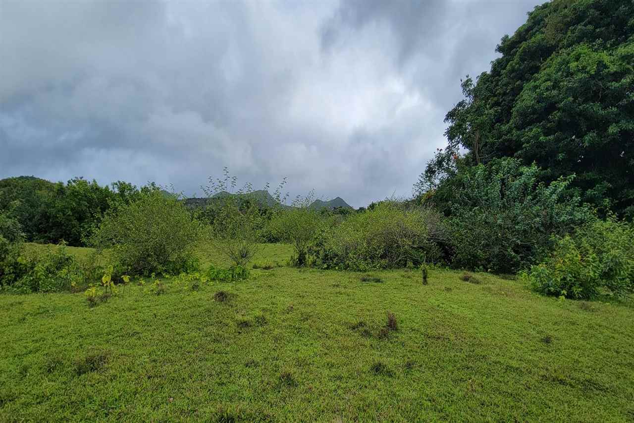 0 Ulaino Road, Unit LOT D Haiku, HI 96708 - Photo 15 of 25 a big yard with lots of green space