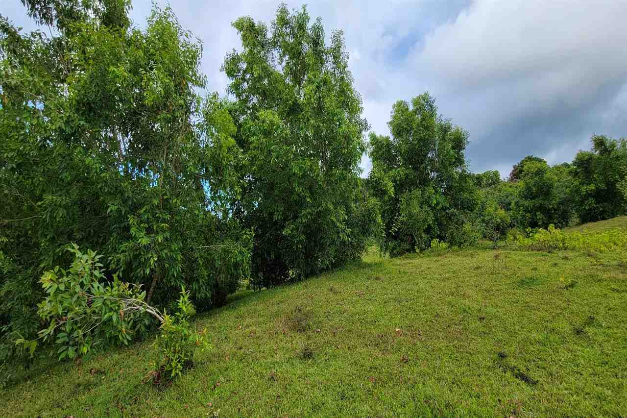 0 Ulaino Road, Unit LOT D Haiku, HI 96708 - Photo 16 of 25 a view of an outdoor space and a yard