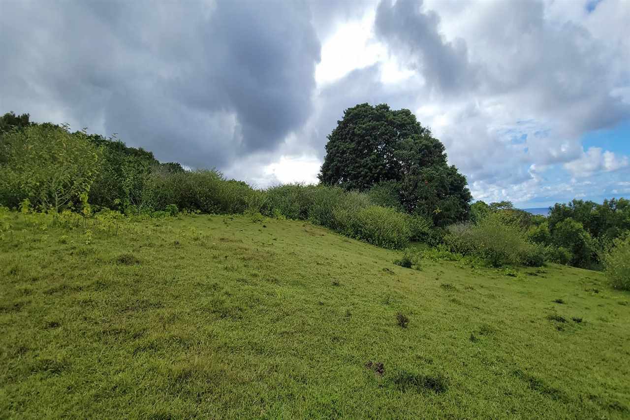 0 Ulaino Road, Unit LOT D Haiku, HI 96708 - Photo 18 of 25 a view of a lush green space