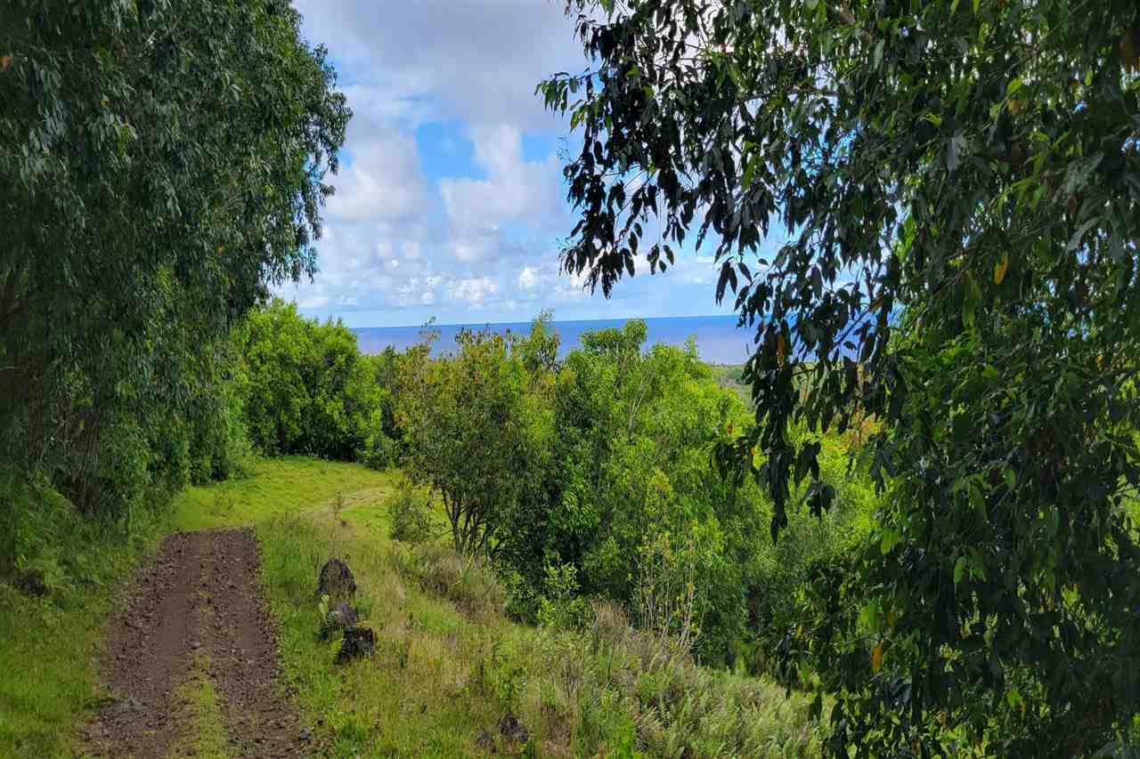 0 Ulaino Road, Unit LOT D Haiku, HI 96708 - Photo 21 of 25 a view of a yard in a yard