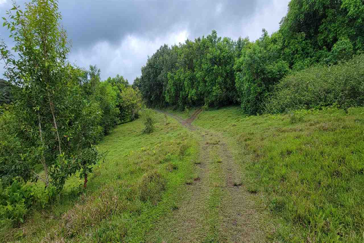 0 Ulaino Road, Unit LOT D Haiku, HI 96708 - Photo 22 of 25 a view of a lush green yard