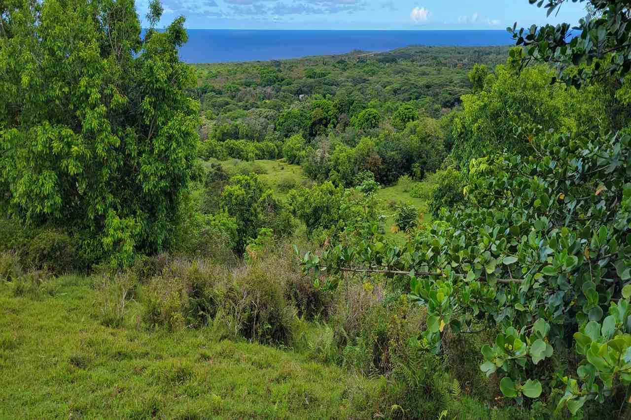 0 Ulaino Road, Unit LOT D Haiku, HI 96708 - Photo 24 of 25 a view of a tall trees