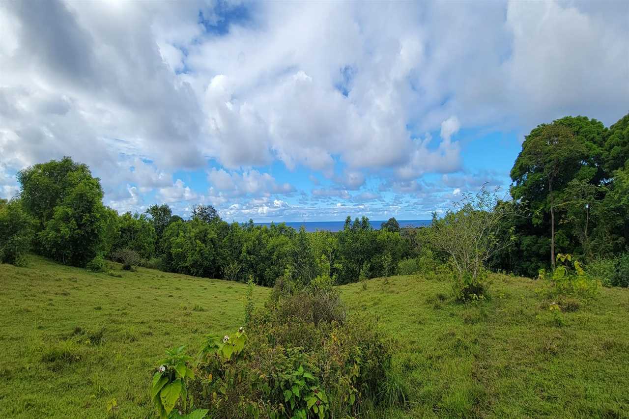 0 Ulaino Road, Unit LOT D Haiku, HI 96708 - Photo 4 of 25 a view of a bunch of trees and bushes