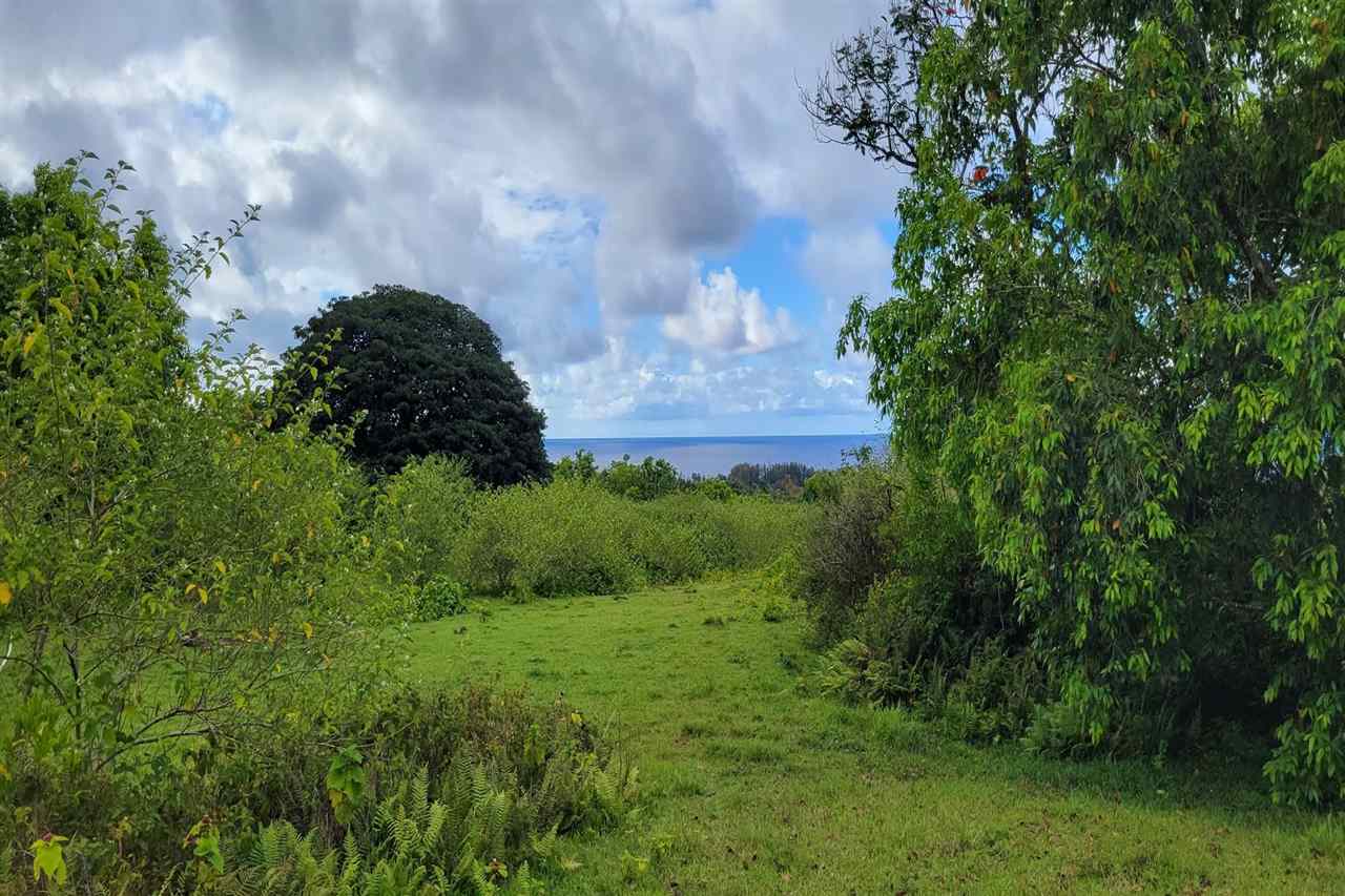 0 Ulaino Road, Unit LOT D Haiku, HI 96708 - Photo 7 of 25 a view of yard with green space