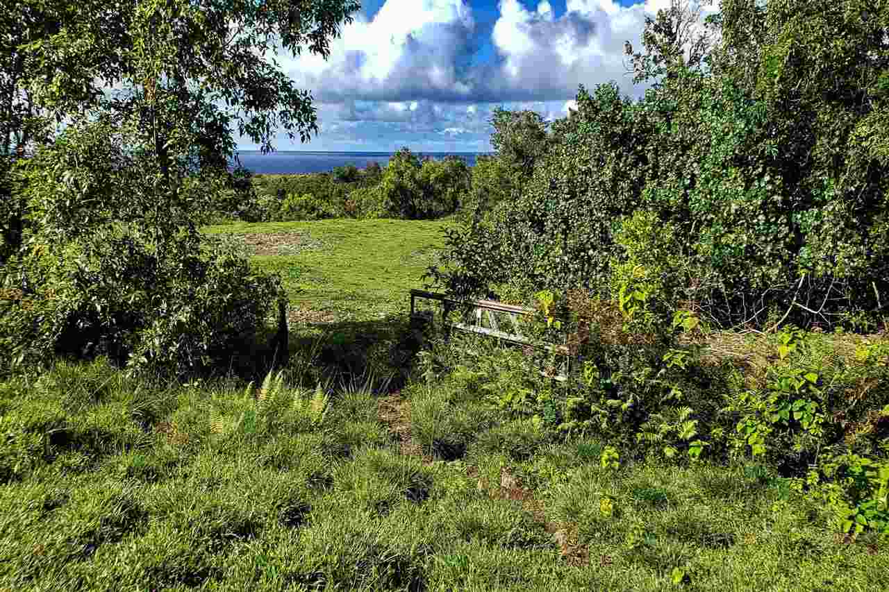 0 Ulaino Road, Unit LOT D Haiku, HI 96708 - Photo 8 of 25 a view of a garden from a bench