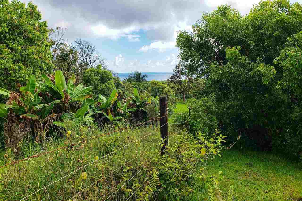 0 Ulaino Road, Unit LOT D Haiku, HI 96708 - Photo 10 of 25 a view of a garden