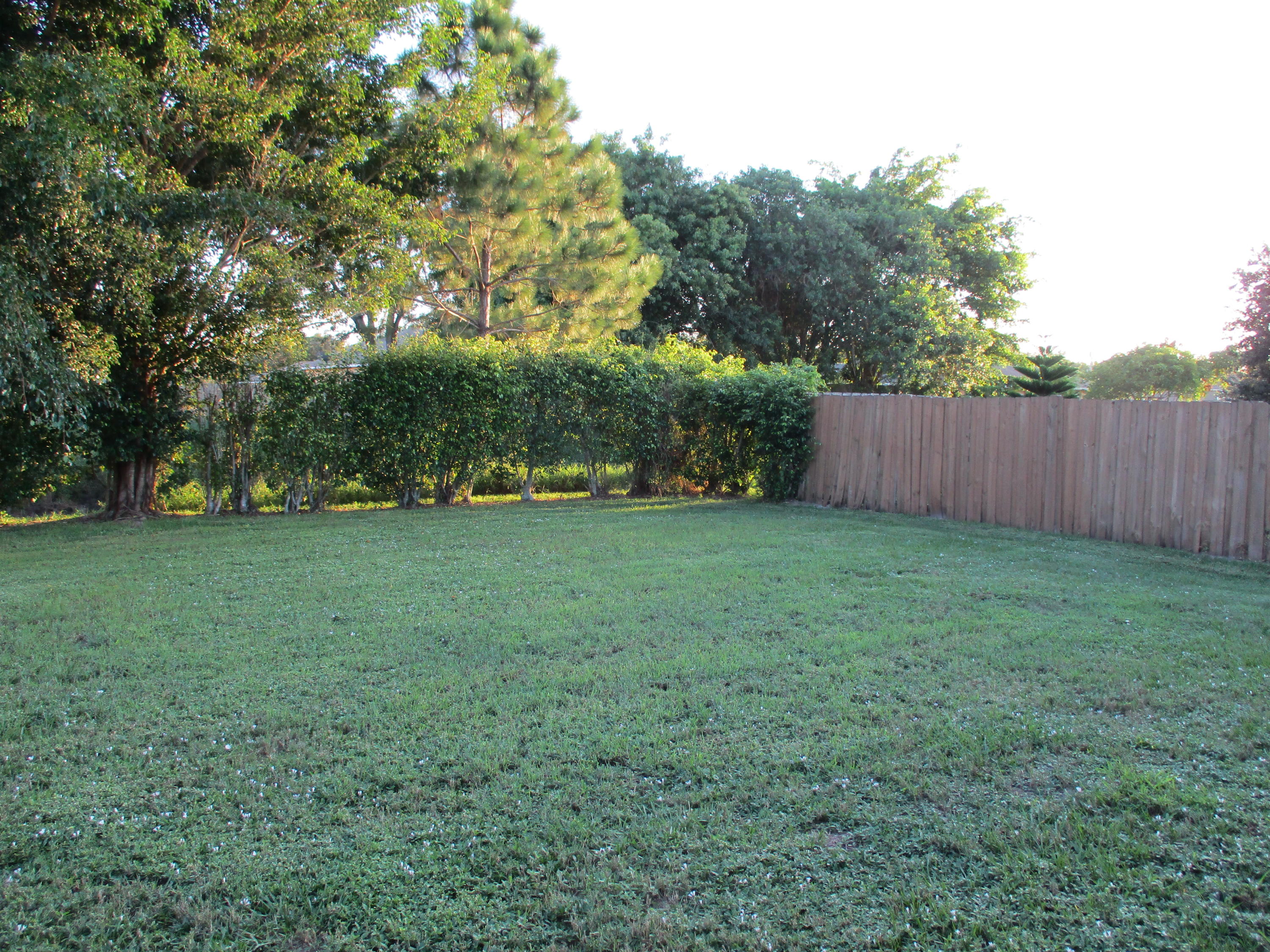 Backyard