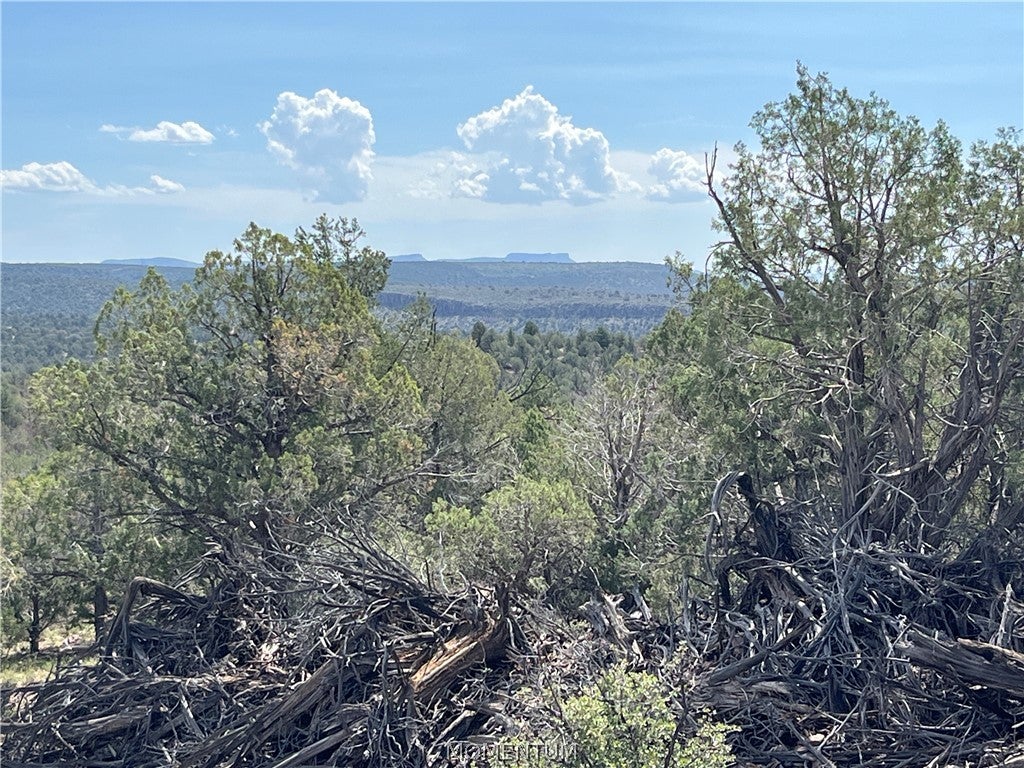 352-33-004 North Willows Ranch Road Kingman, AZ 86401 - Photo 2 of 16 Gallery Image 2