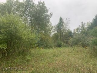 0 Castle Road Fenwick, MI 48834 - Photo 12 of 13 IMG_5898