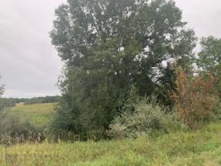 0 Castle Road Fenwick, MI 48834 - Photo 2 of 13 IMG_5901