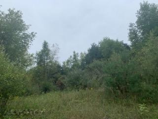 0 Castle Road Fenwick, MI 48834 - Photo 3 of 13 IMG_5900