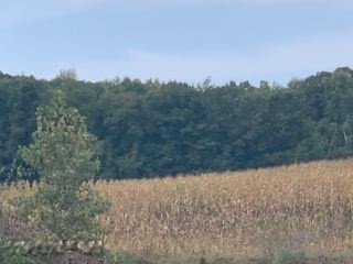 0 Castle Road Fenwick, MI 48834 - Photo 7 of 13 IMG_5984 (1)