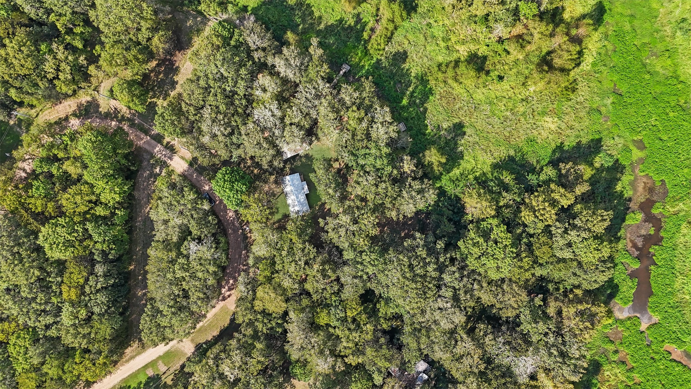 768 County Road 2870 Cleveland, TX 77327 - Photo 20 of 22