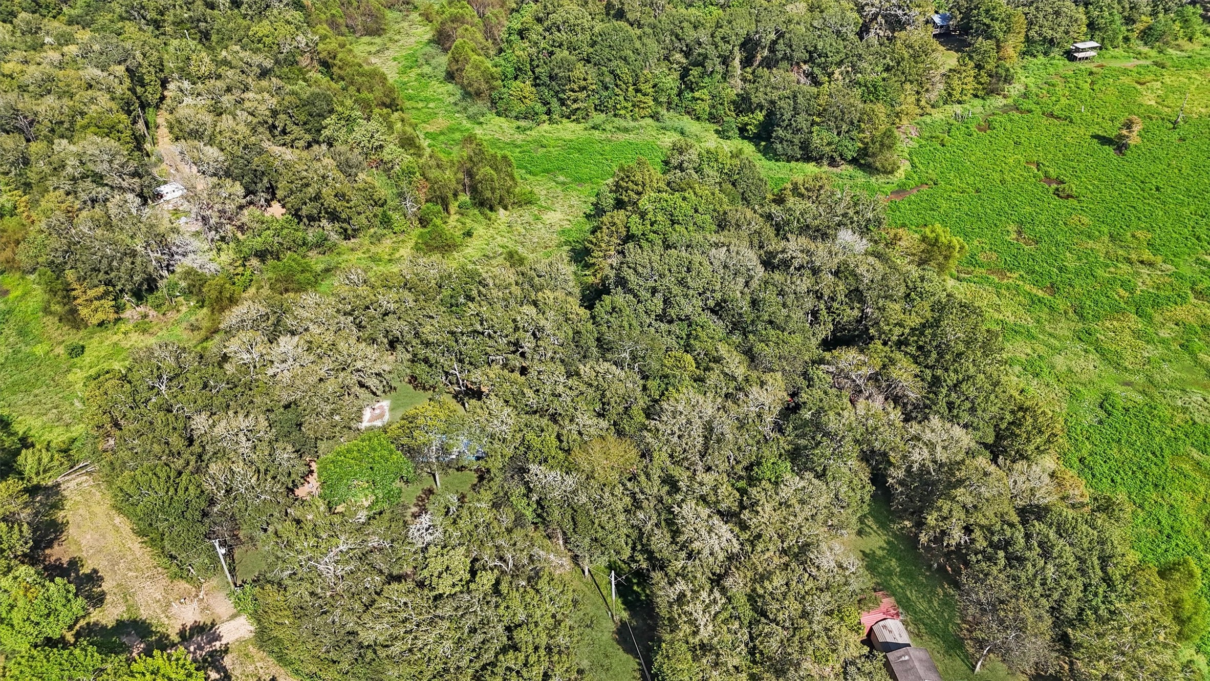 768 County Road 2870 Cleveland, TX 77327 - Photo 21 of 22