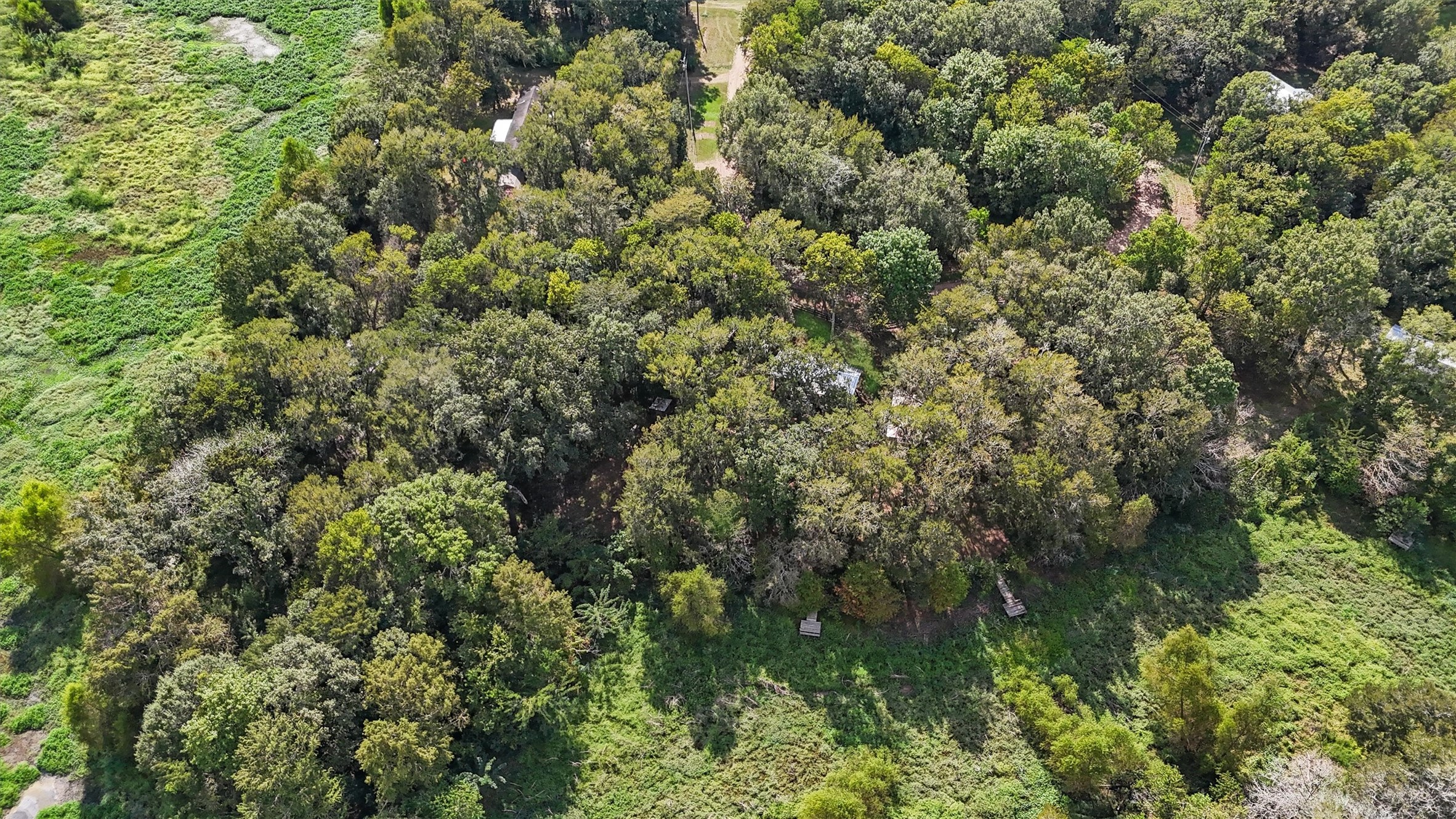 768 County Road 2870 Cleveland, TX 77327 - Photo 22 of 22