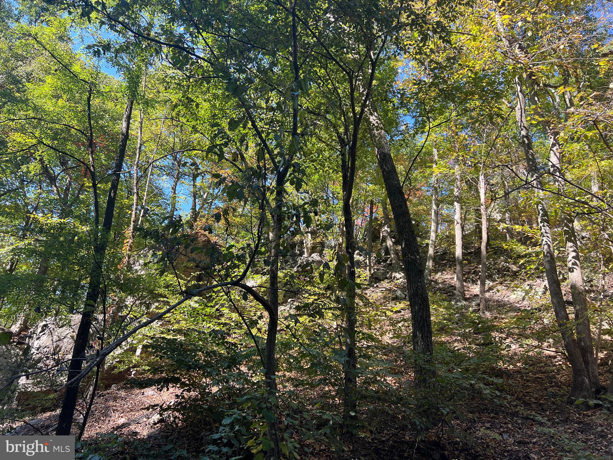1604 High Knob Road Old Fields, WV 26845 - Photo 87 of 113