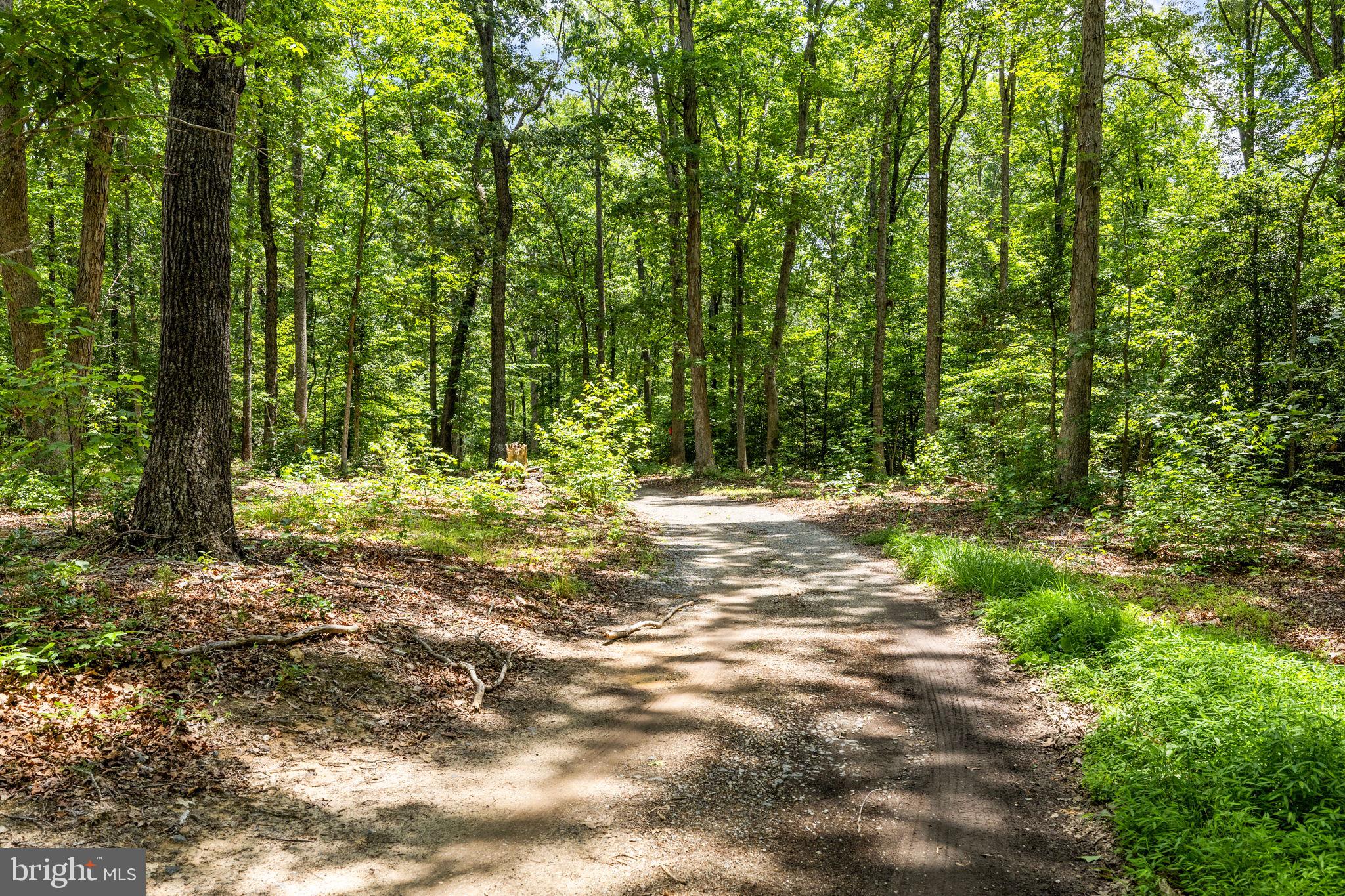 1271 Apple Grove Road Mineral, VA 23117 - Photo 65 of 91