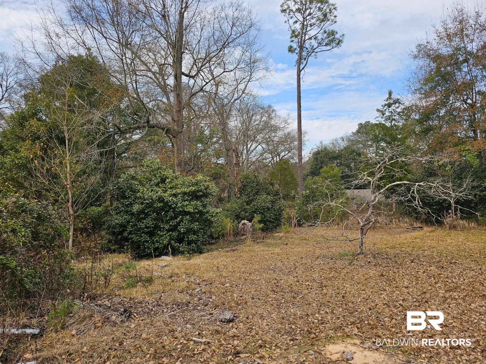 304 Sutherland Drive Mobile, AL 36611 - Photo 17 of 18 View of local wilderness