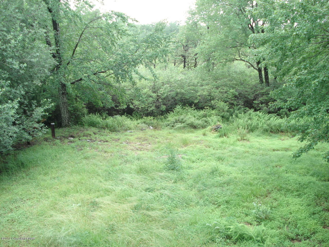 351 Gold Finch Road Bushkill, PA 18324 - Photo 9 of 10 Back yard