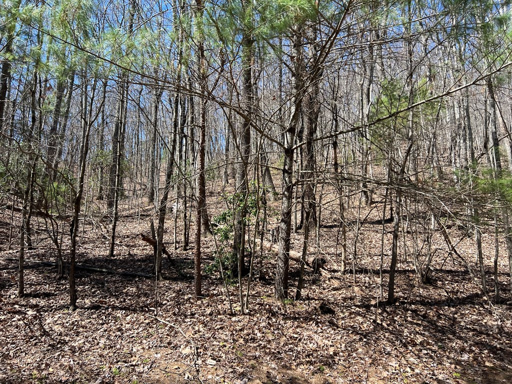 Lots Wolf Mountain Road Murphy, NC 28906 - Photo 17 of 27