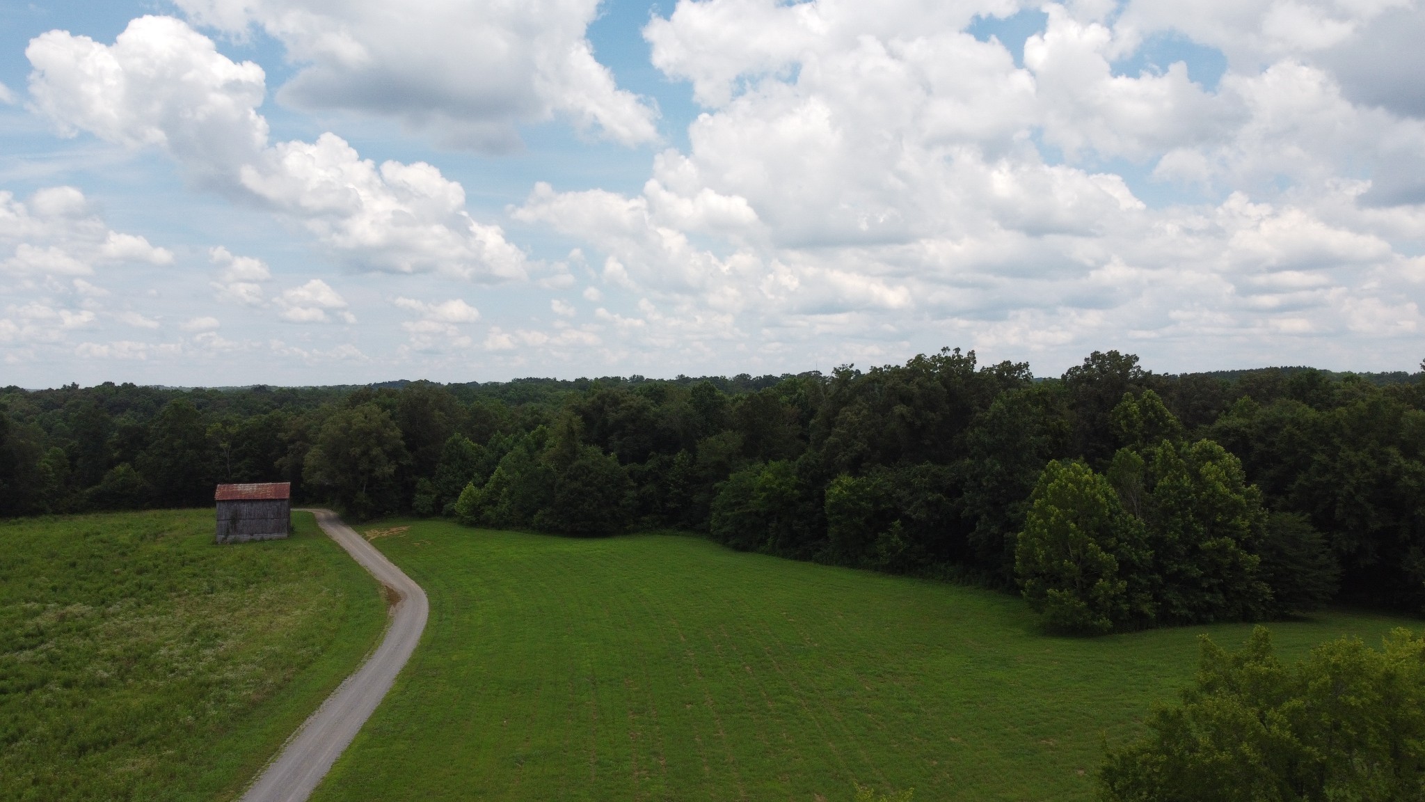 13 Hayes Ridge Road Indian Mound, TN 37079 - Photo 8 of 12 a view of a golf course with a garden