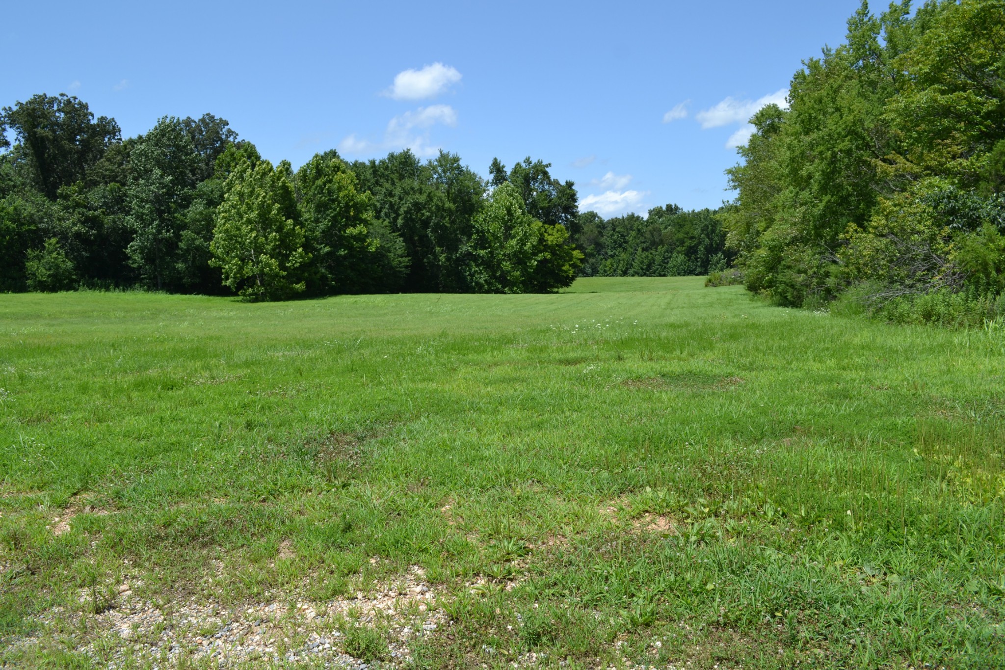 13 Hayes Ridge Road Indian Mound, TN 37079 - Photo 10 of 12 a backyard of a house with lots of green space