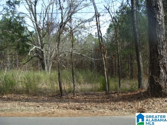 Roy Drive, Unit LAND Helena, AL 35080 - Photo 2 of 4