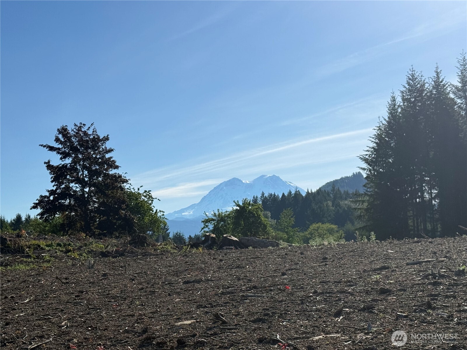 215 Mineral Road North Mineral, WA 98355 - Photo 20 of 29