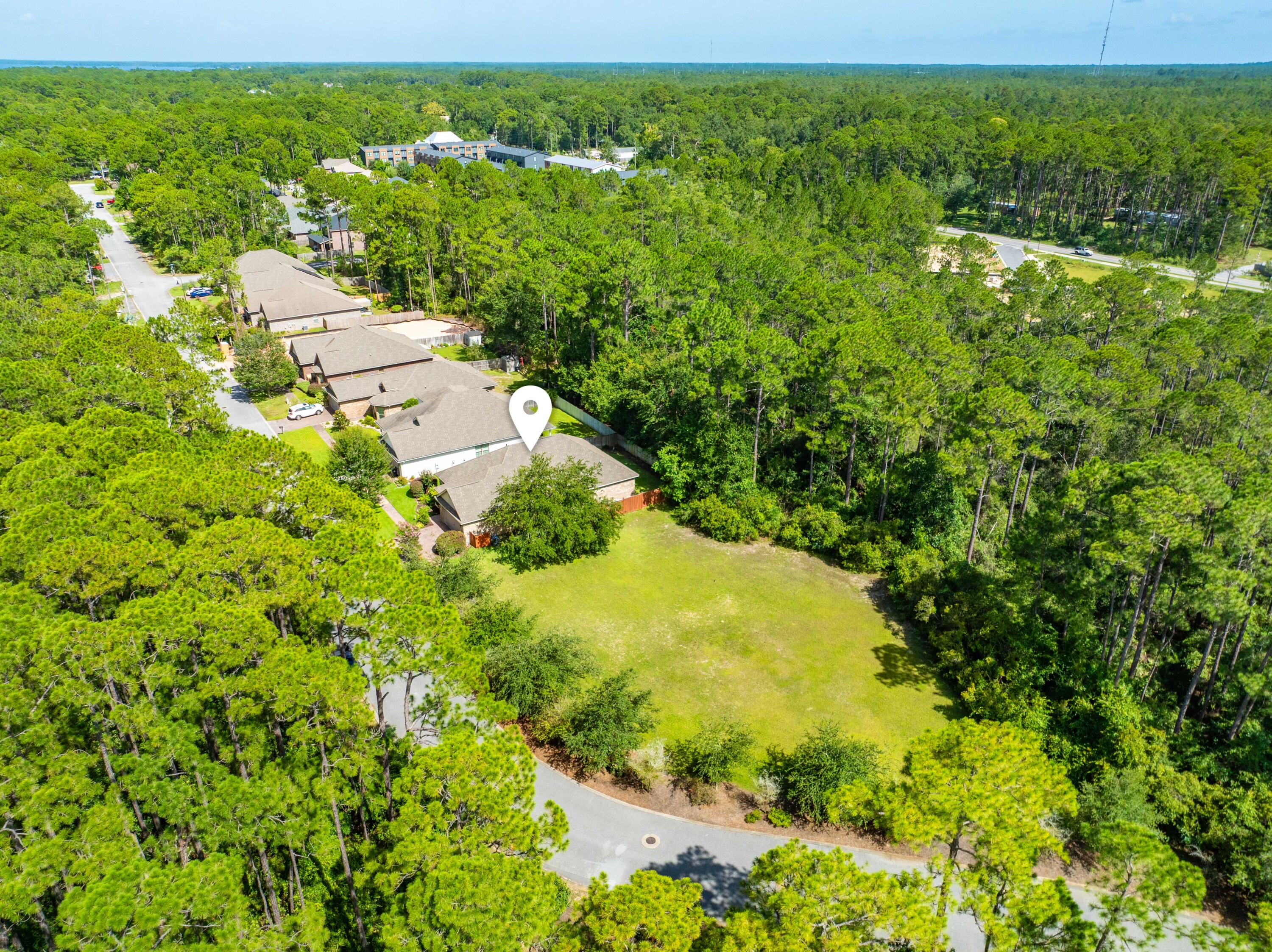 217 Cox Road Santa Rosa Beach, FL 32459 - Photo 41 of 43 Drone