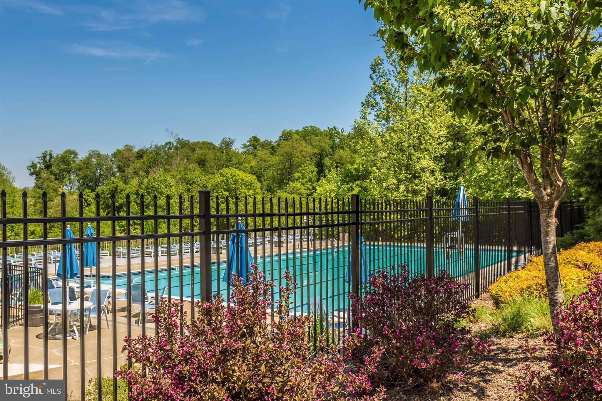 11221 Country Club Road New Market, MD 21774 - Photo 39 of 44 Westwinds Community Pool