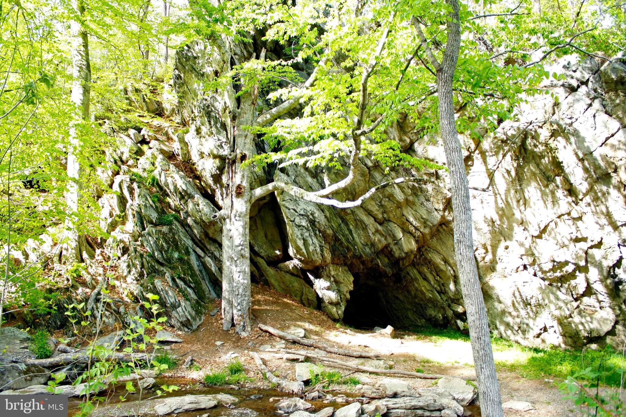 11221 Country Club Road New Market, MD 21774 - Photo 43 of 44 Amazing Trails with Finds Likes Indian Caves!