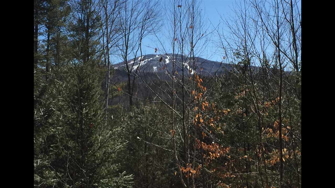 0 Timmothy Road Sunapee, NH 03782 - Photo 1 of 10 Gallery Image 1