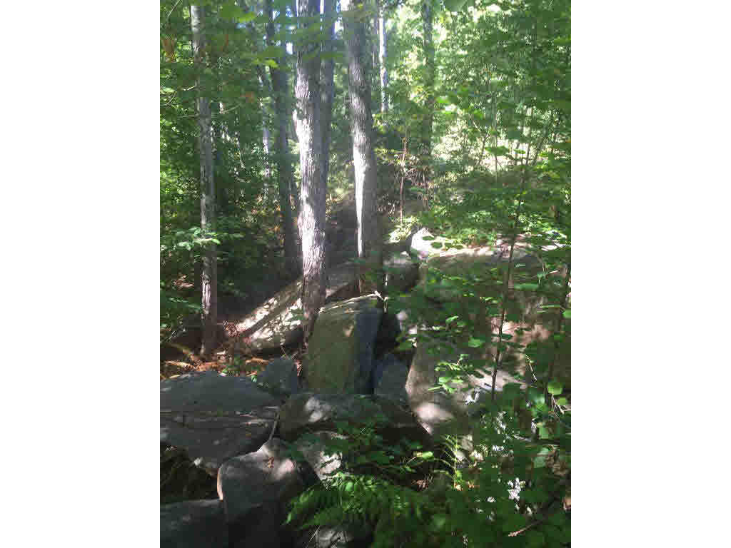 0 Timmothy Road Sunapee, NH 03782 - Photo 6 of 10 Gallery Image 6