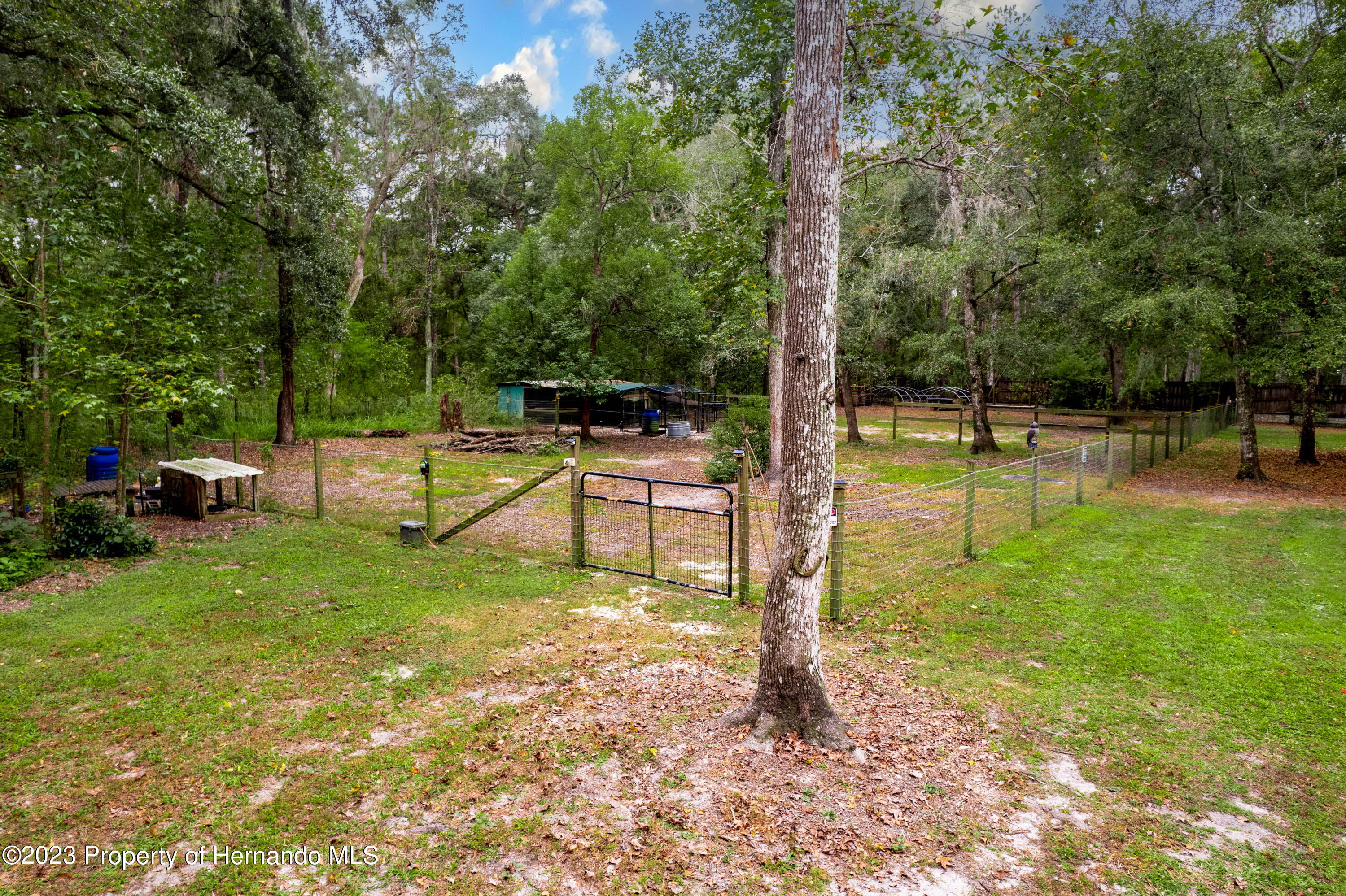 1412 Culbreath Road Brooksville, FL 34602 - Photo 4 of 55 DJI_0247-Edit