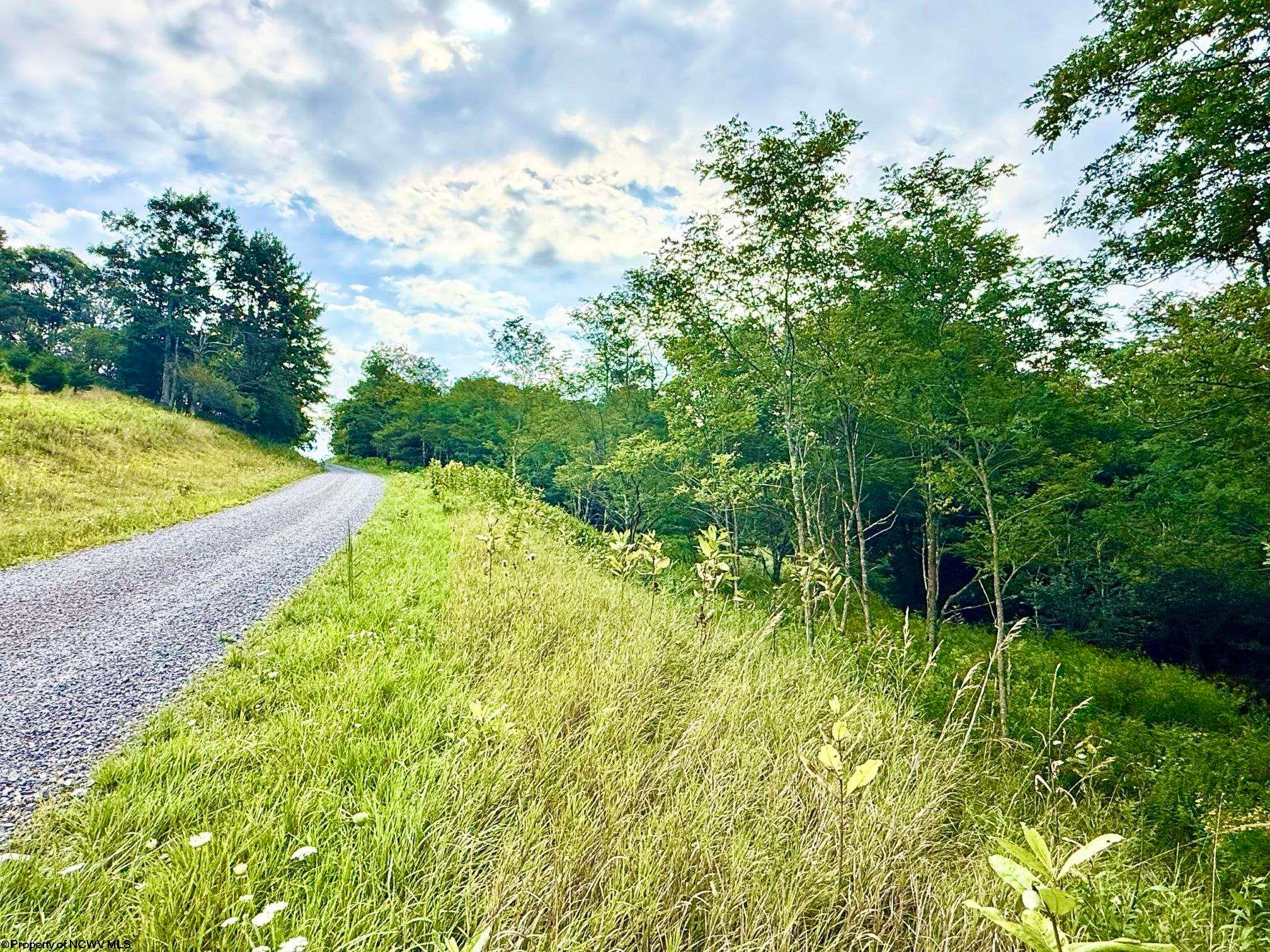 Lot 46 Thunderstruck Road Dryfork, WV 26263 - Photo 3 of 11 Gallery Image 3