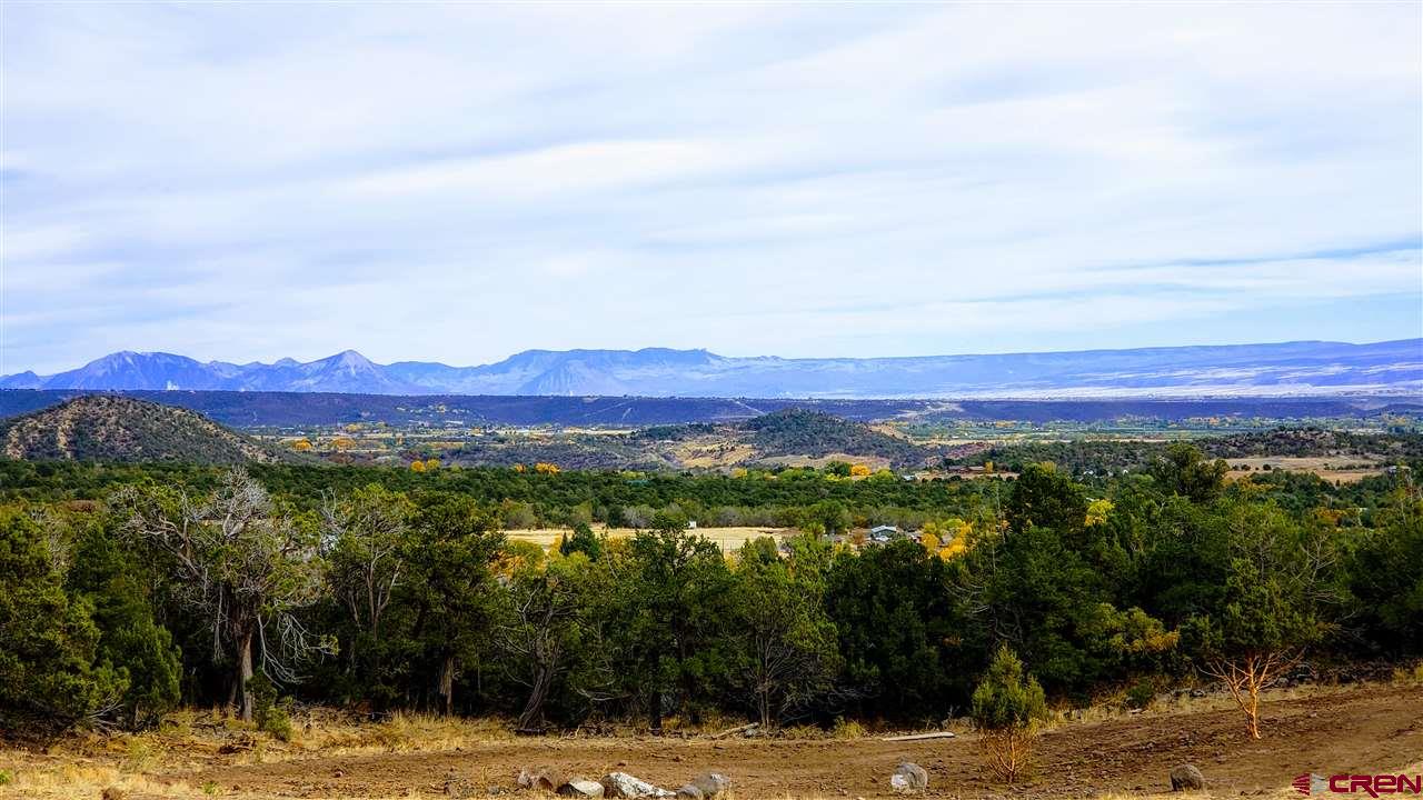 20184-20212 High Park Road Cedaredge, CO 81413 - Photo 5 of 35 Gallery Image 5