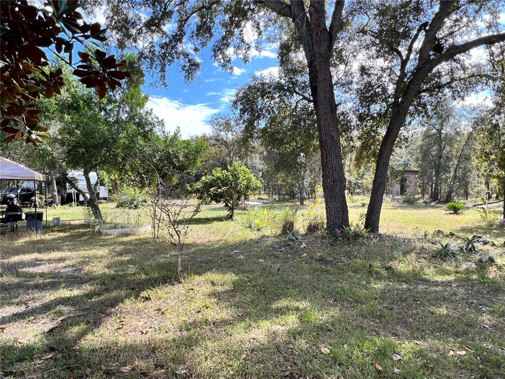 4254 West Meadow Street Homosassa, FL 34446 - Photo 19 of 38