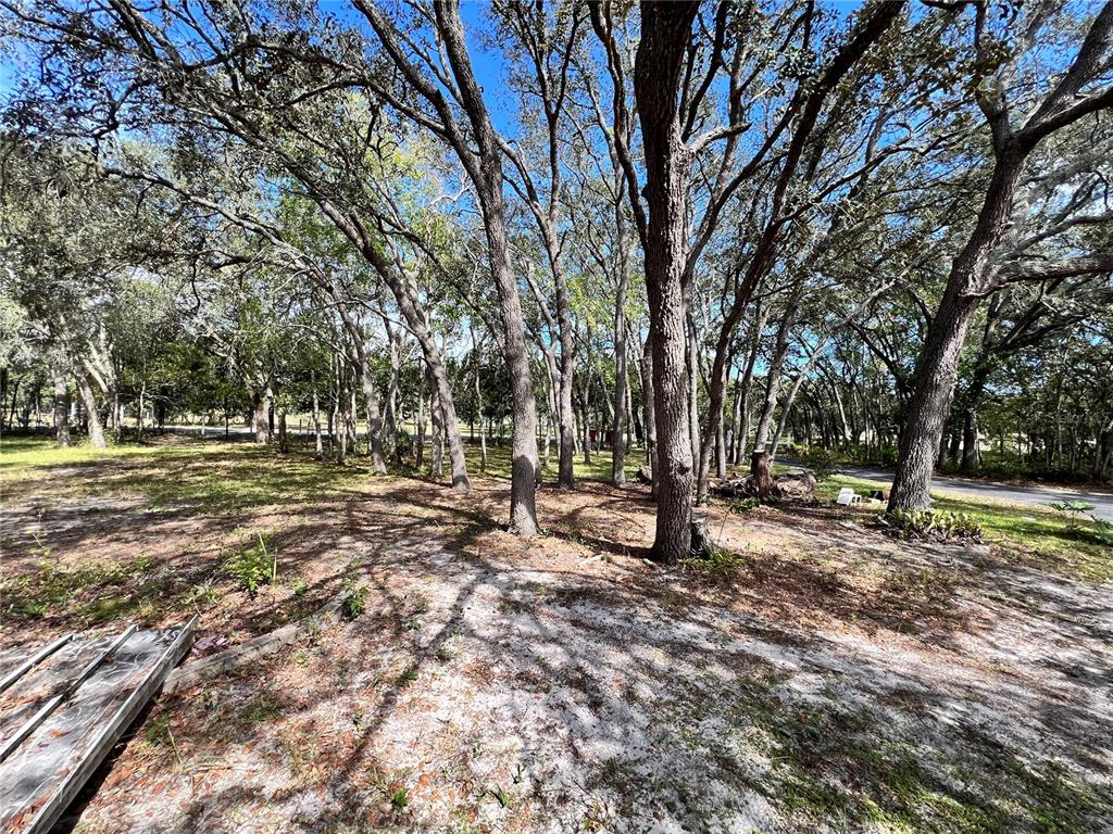 4254 West Meadow Street Homosassa, FL 34446 - Photo 20 of 38