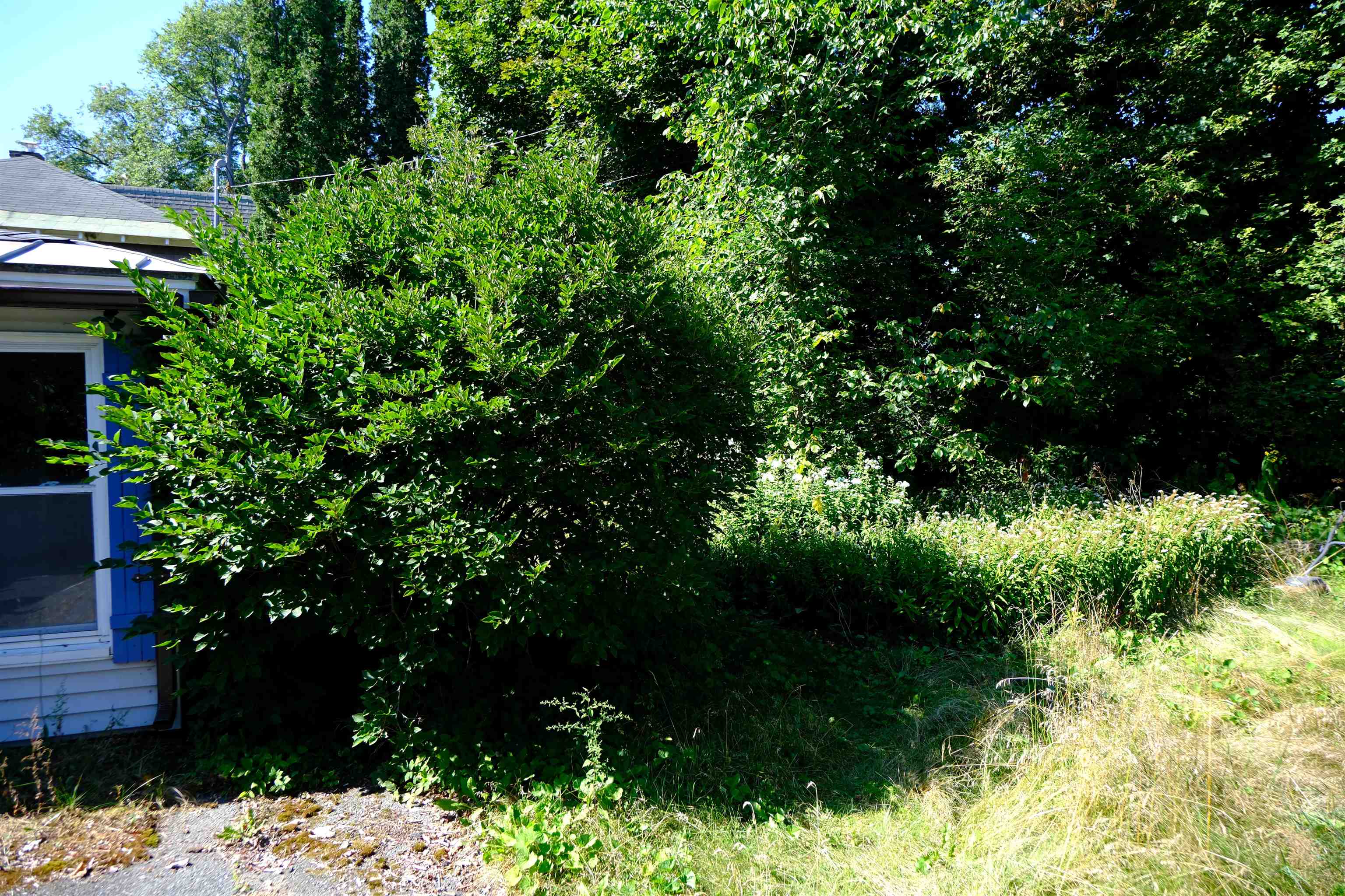 166 Hooker Hill Road St. Johnsbury, VT 05819 - Photo 29 of 52