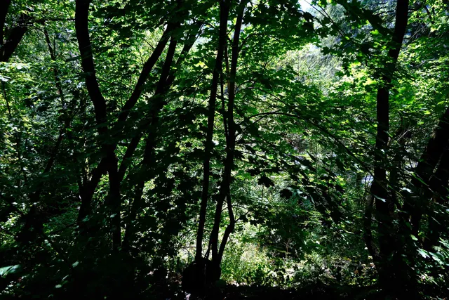 $89,000 | 166 Hooker Hill Road, St. Johnsbury, VT 05819